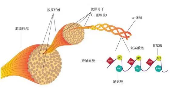 1652144357730206.jpg 微信图片_20220510085743.jpg