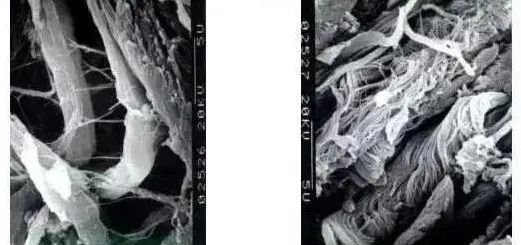 1652144369235777.jpg 微信图片_20220510085751.jpg