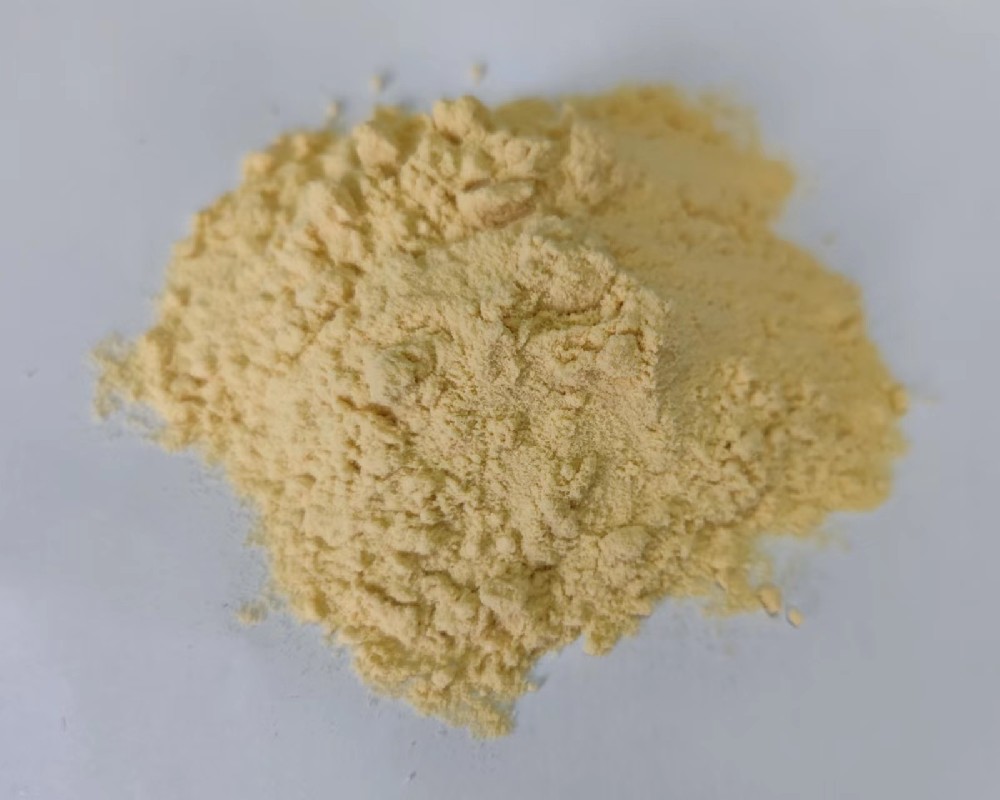 白芸豆蛋白肽